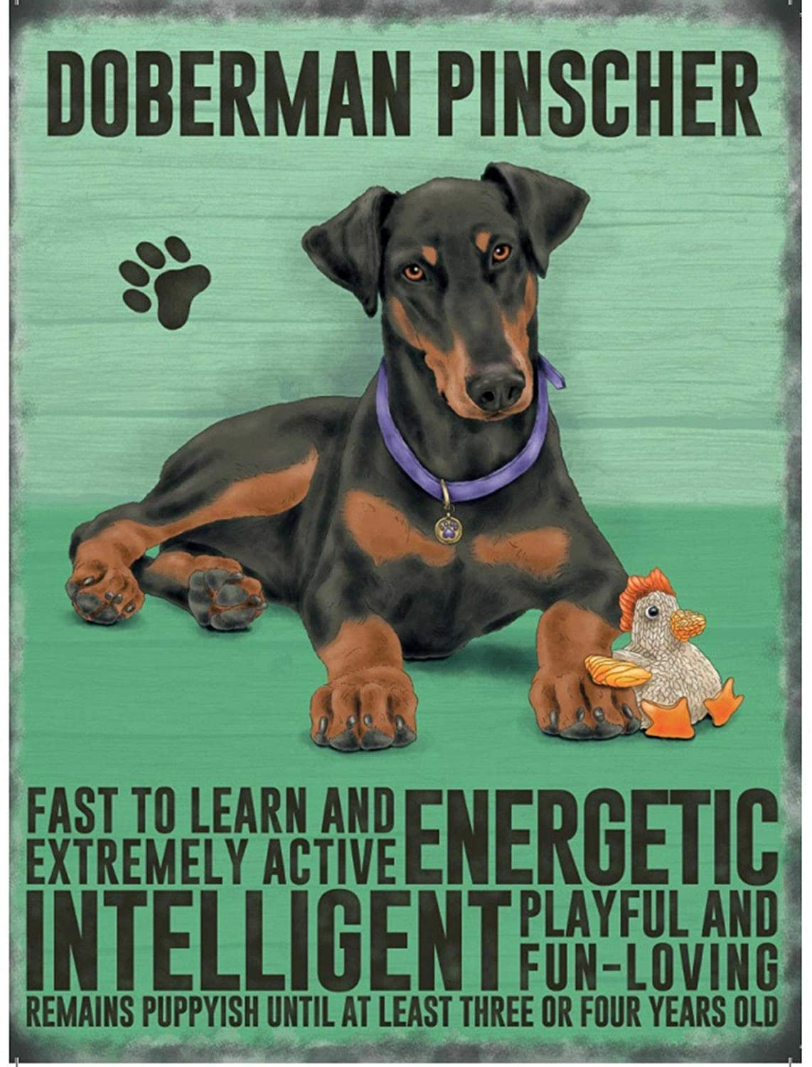 Rifosa A13 6"X8" Doberman Pinscher Dog Metal Sign Wall Decor