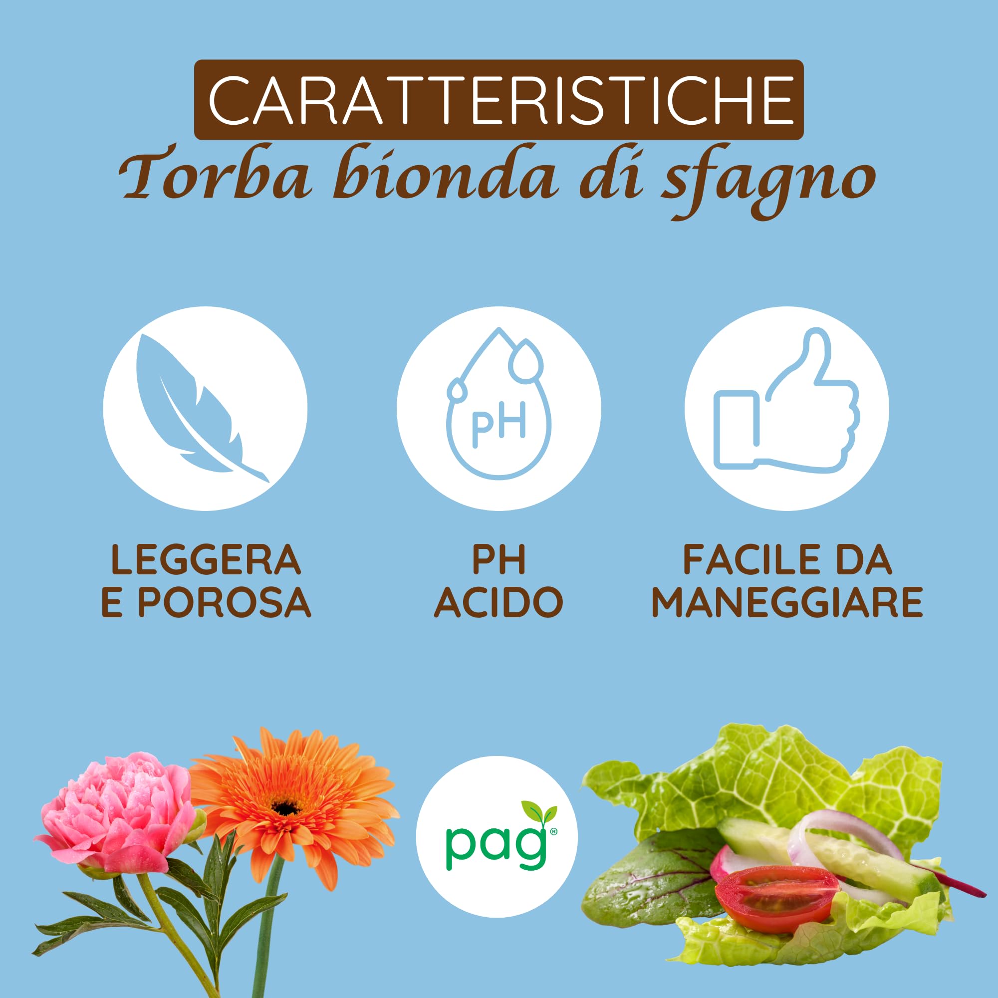 Pag Torba Bionda di Sfagno | Uso Professionale | Confezione da 150 lt