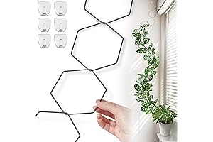 Chain Trellis for Climbing Plants | Plant Trellis for Vines & Climbers