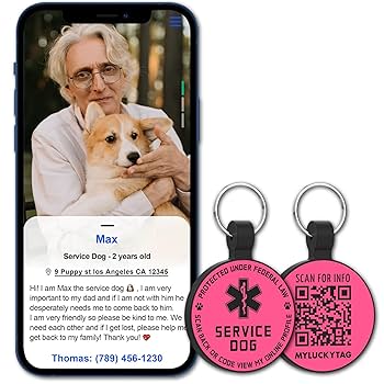 Pay money To my Pain Dog Tag ドッグタグ PTP Official Merch Store OPEN 映画公開記念として Silver 925