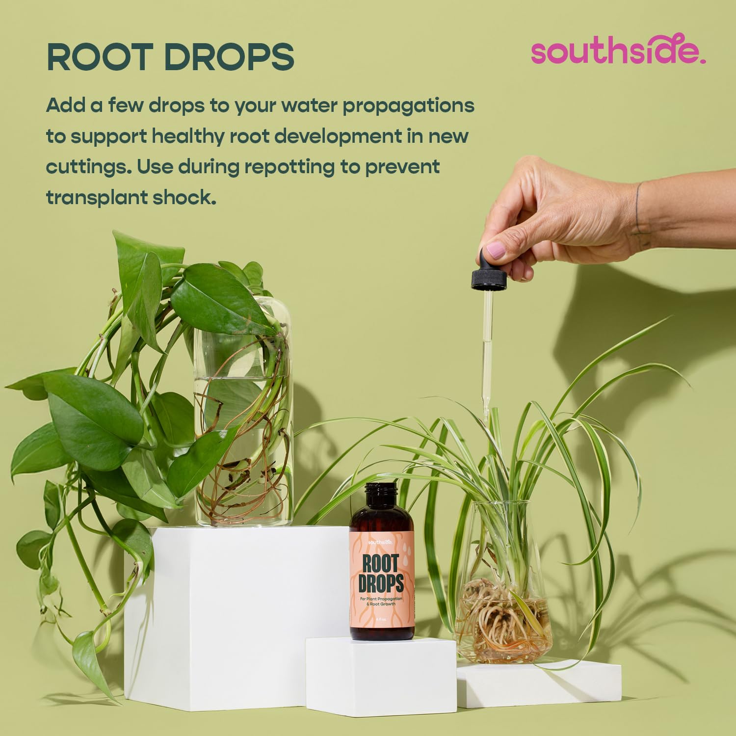 Southside Prop Box – Holiday Gift Set for Plant Lovers - Includes Keiki Paste, Root Drops, Leafy Plant Food & Propagation Cones - Complete Indoor Plant Propagation & Care Kit