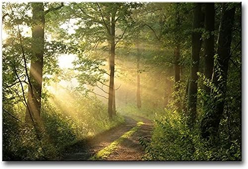 Arte de pared de bosque, naturaleza, moderno, lienzo, pintura, la imagen para decoración del hogar, niebla por la mañana, primavera, paisaje,