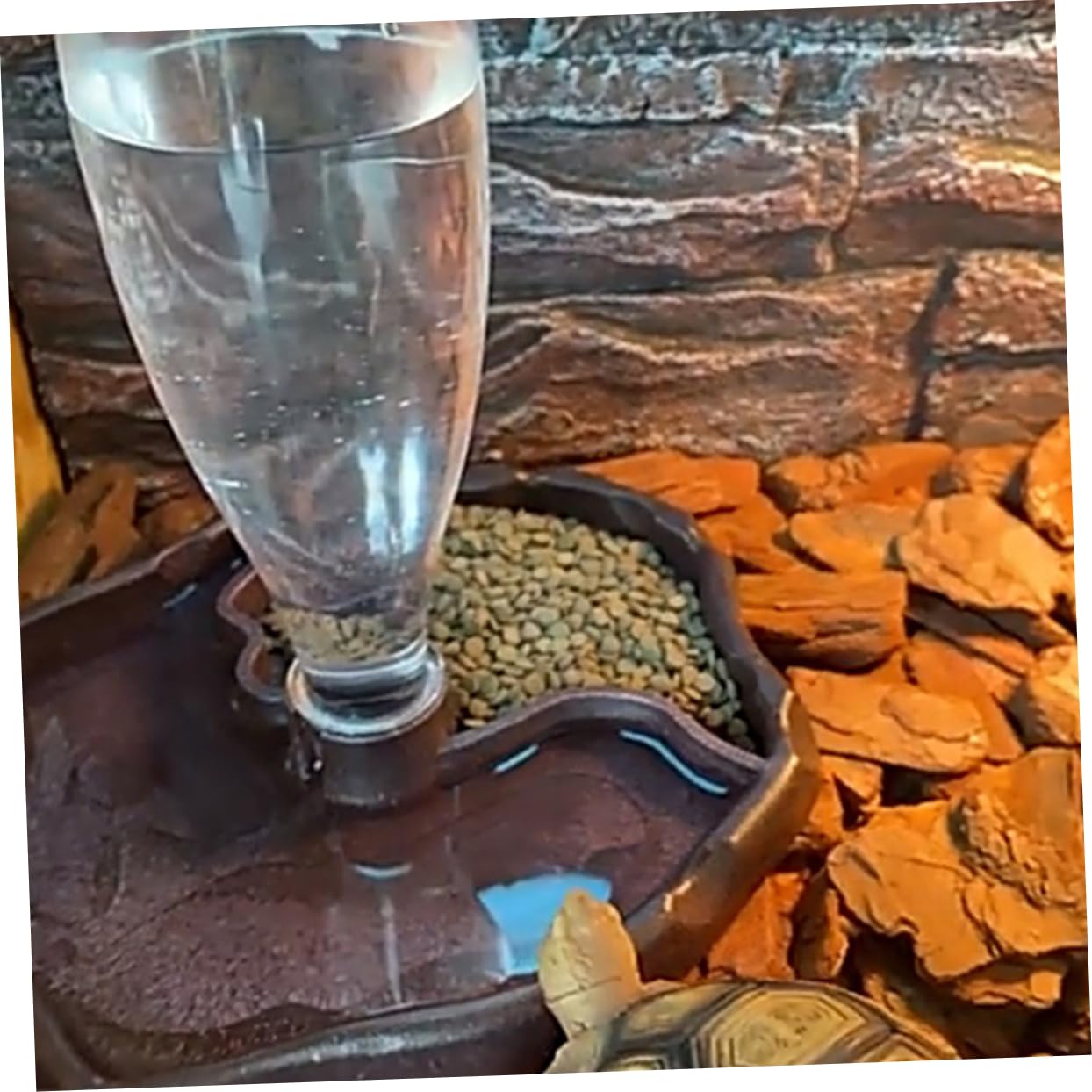 Hohopeti Distributore Automatico d'Acqua in ABS, 2 Pezzi, Ciotola per Cibo e Acqua per Piccoli Animali e Uccelli, Facile da Pulire | Ciotola per Cibo e Acqua, Facile da Pulire, per Piccoli Animali e Ragno