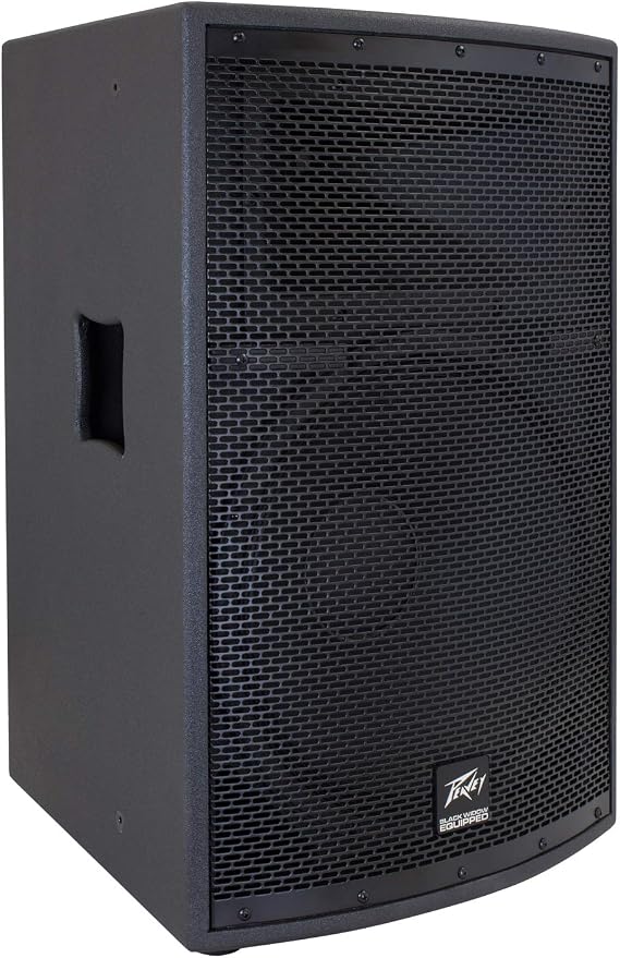 Peavey SP 2 1000-Watt 2-Way PA Speaker | Concert-level output for bands and DJs, punchy lows with clear highs, road-ready enclosure, pairs with external amps