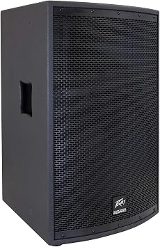 Peavey SP 2 1000-Watt 2-Way PA Speaker | Concert-level output for bands and DJs, punchy lows with clear highs, road-ready enclosure, pairs with external amps