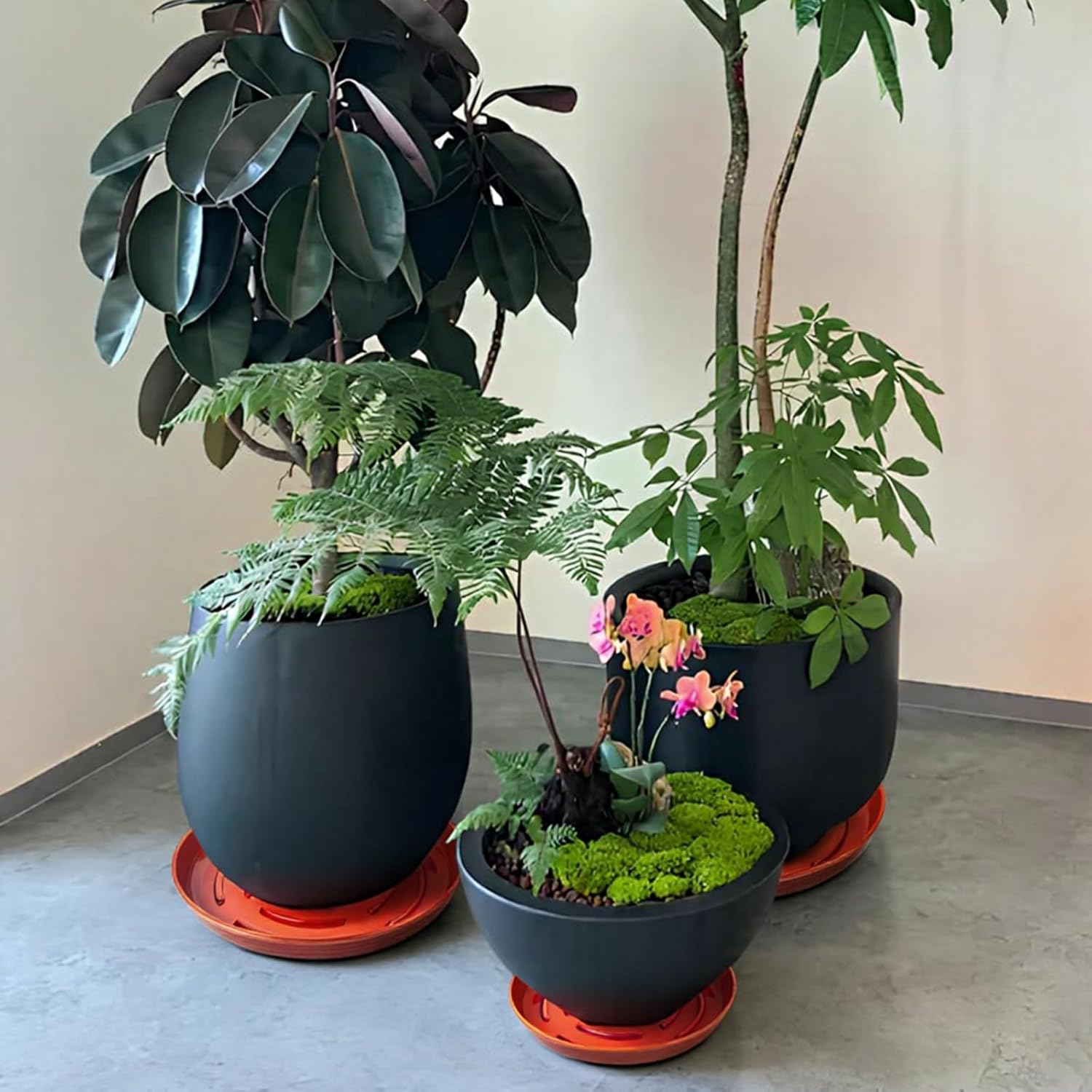 15 Pack Plant Trays for Pots 1.5" Deep Plant Saucers, Heavy Duty 8" 10" 12 inch Plant Tray Bulk Thickened Plant Plates to Catch Water, Durable Plant Saucer Flower Pot Accessories