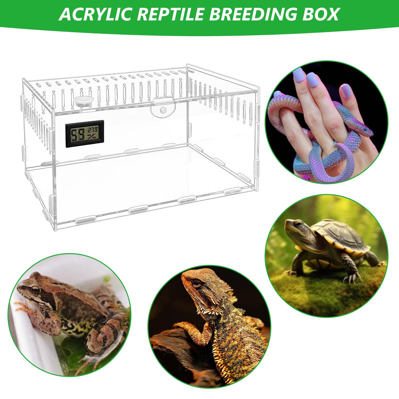 Terrarium Acryl Terrarium 30x20x15cm groß transparent Futterbox für Reptilien Haustier Spinnen Eidechsen Schnecken Käfer
