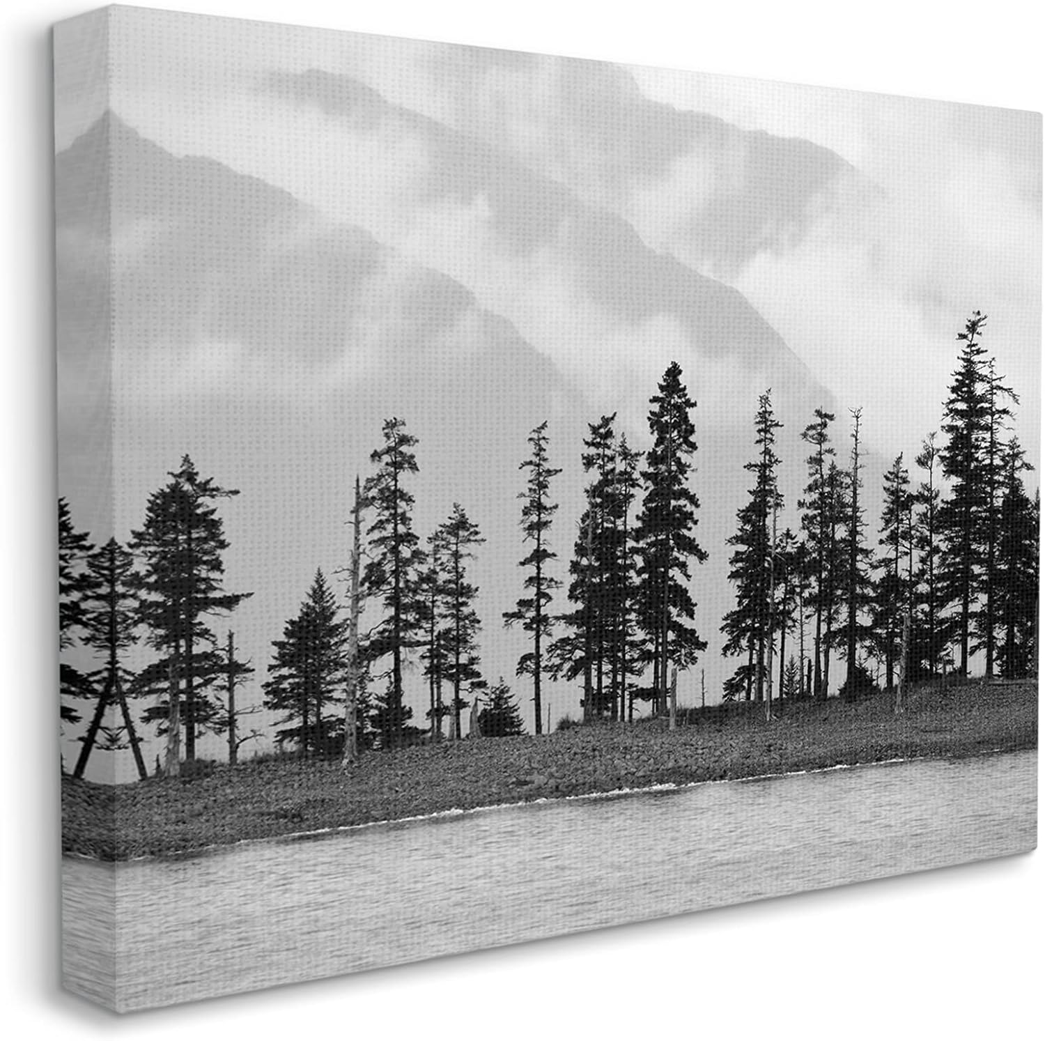 Stupell Industries Empty Pine Tree Forest Coast Line Misty Mountains, Designed by Savanah Plank Canvas Wall Art, 20 x 16, Black