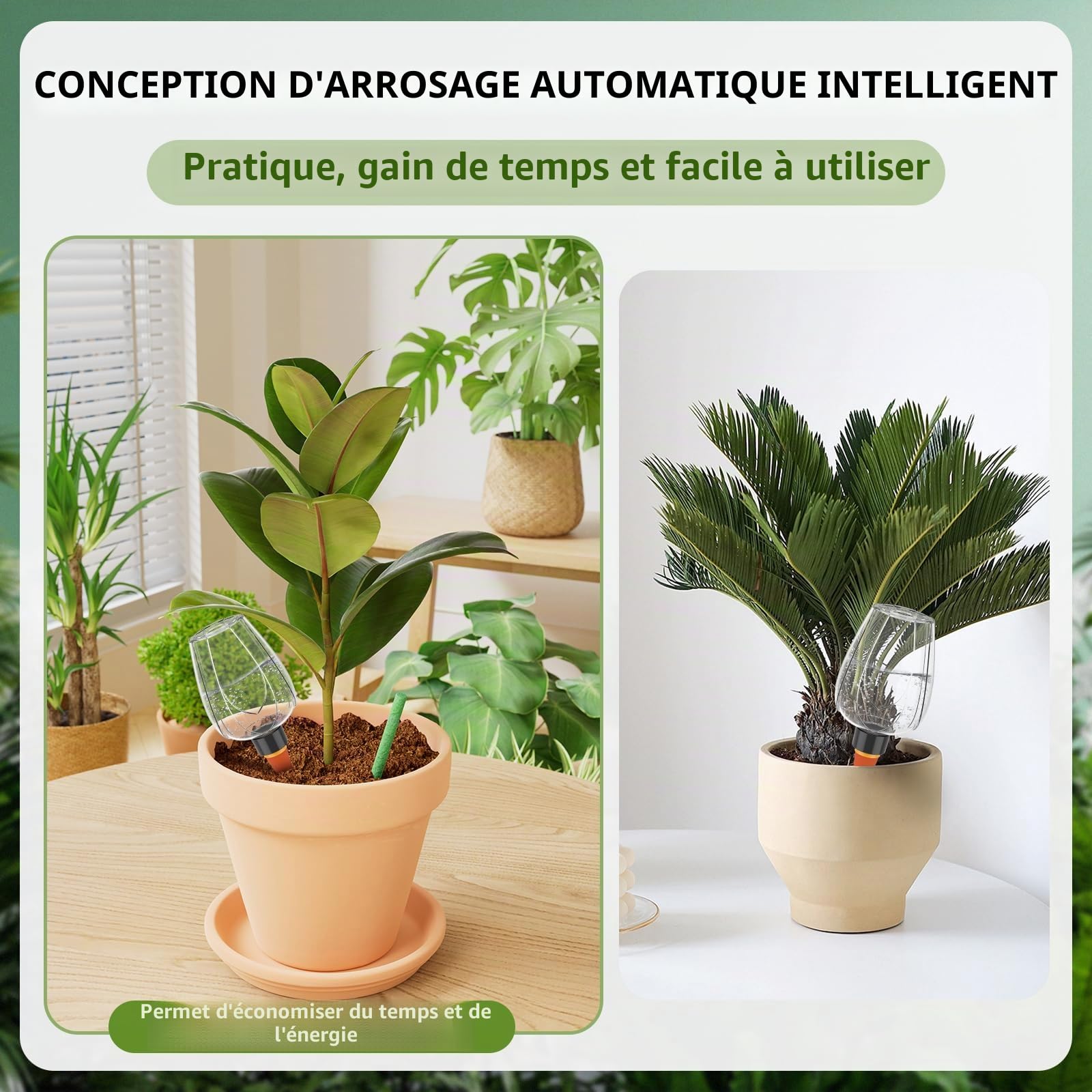 Boules d'arrosage, lot de 4 pour arrosage automatique des plantes, 350 ml/11,8 oz, boule d'arrosage auto-alimentée pour l'arrosage automatique des plantes d'intérieur, de balcon et de jardin (couleur