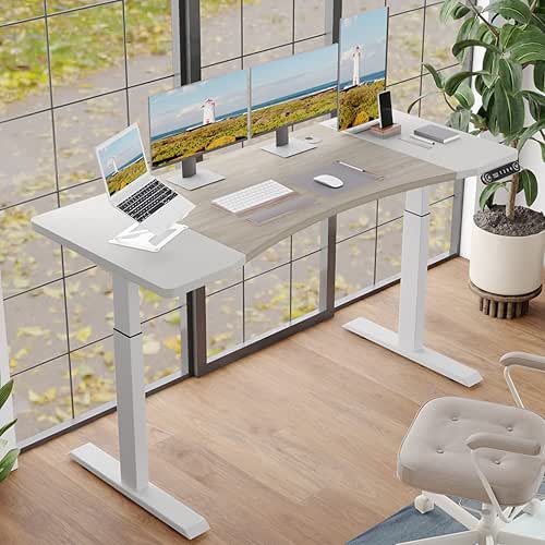 Dual Motor 63x30 Height Adjustable Electric Standing Desk,Height Stand Up
