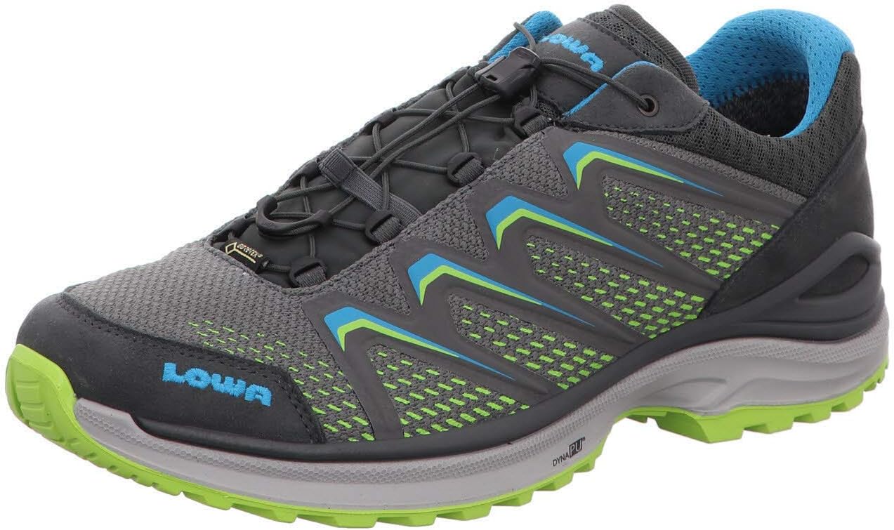 Lowa Men's Low Rise Hiking Boots
