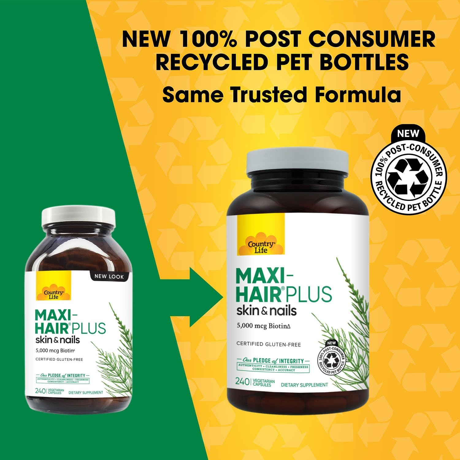 Country Life, Maxi-Hair Plus Biotin, Supports Healthy Hair, Skin and Nails, Daily Supplement, 240 ct - Image 3