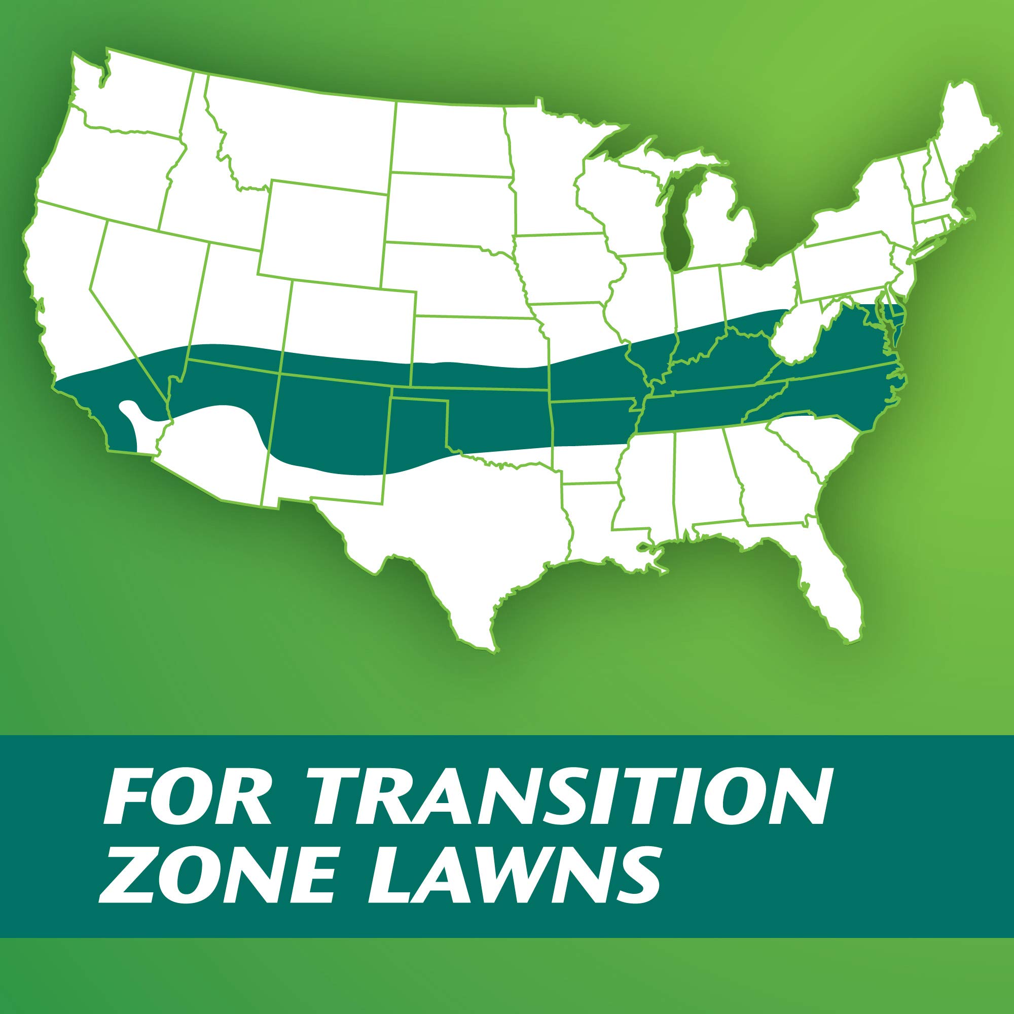 Scotts Turf Builder Grass Seed Dense Shade Mix for Tall Fescue Lawns, 7