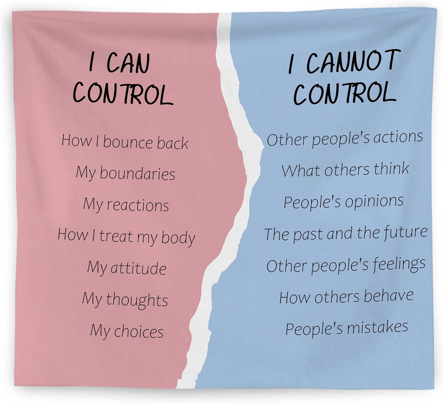 WNAGT Pink and Blue Mental Health Tapestry Wall Hanging, Therapy Office Decor, I Can Cannot Control Mental Health Wall Blanket Decor for Therapist Counselor Office Classroom, 50×60 Inch