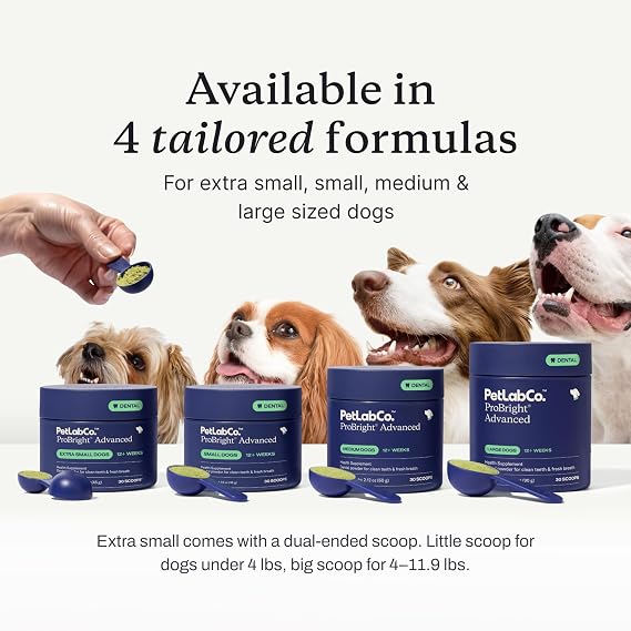 PetLab Co. Gut & Breath Bundle: Dental Powder for Fresh Breath in 1 Scoop. for Small Dogs & Salmon Dog Probiotics to Support a Healthy Gut - Easy to Use Innovative Formulas