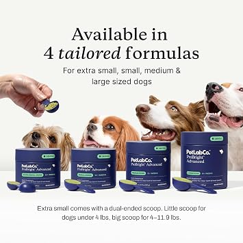 PetLab Co. Gut & Breath Bundle: Dental Powder for Fresh Breath in 1 Scoop. for Small Dogs & Salmon Dog Probiotics to Support a Healthy Gut - Easy to Use Innovative Formulas
