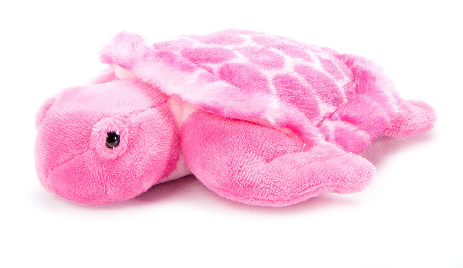 Amazon.com: The Petting Zoo Pink Sea Turtle Stuffed Animal, Scoopz
