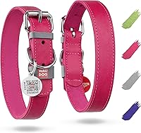 Vista 12 de WAUDOG Collar de cuero de larga duración para perros grandes, medianos y pequeños – Collares clásicos ajustables para cachorros de raza grande