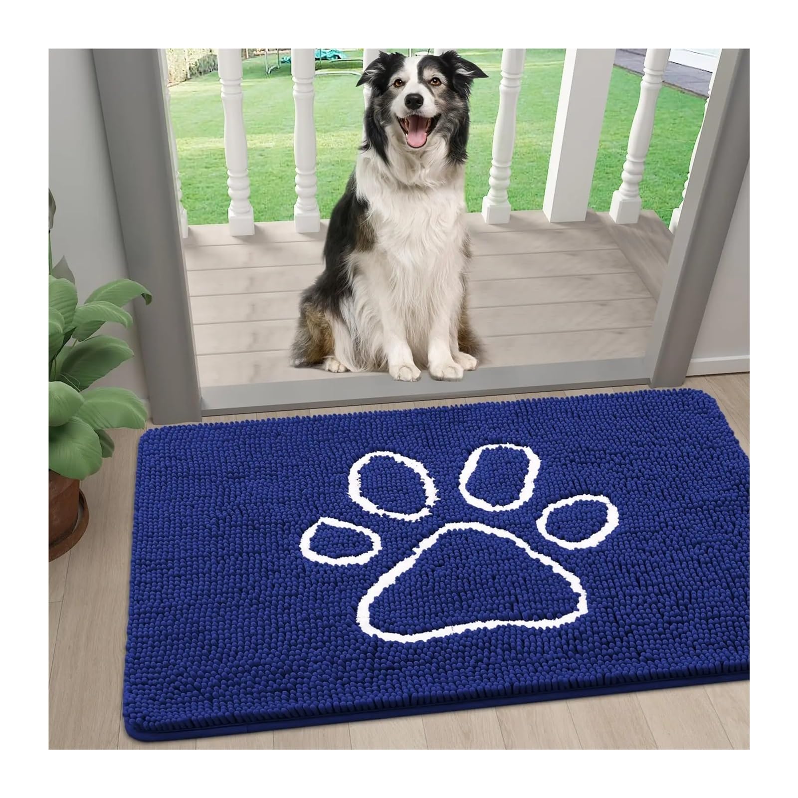Tapis chien boue résolu avec ce paillasson chenille absorbant et lavable