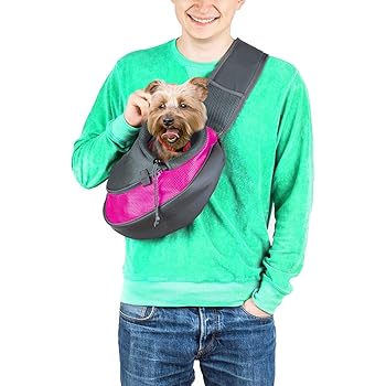 what do newborn kittens need