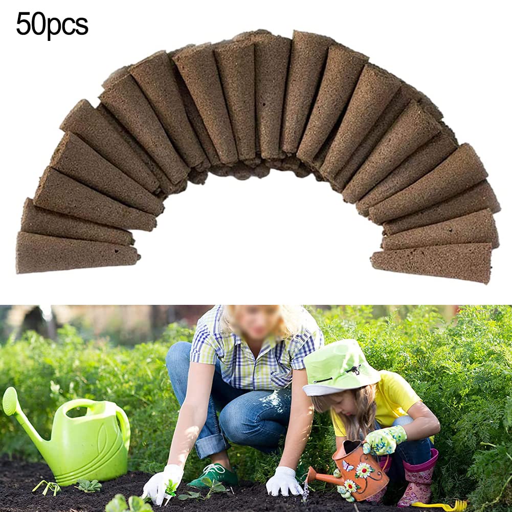 Lot De 50 Éponges De Culture Hydroponique En Sphaigne Et Tourbe - Bouchons Pour Germination Et Racines