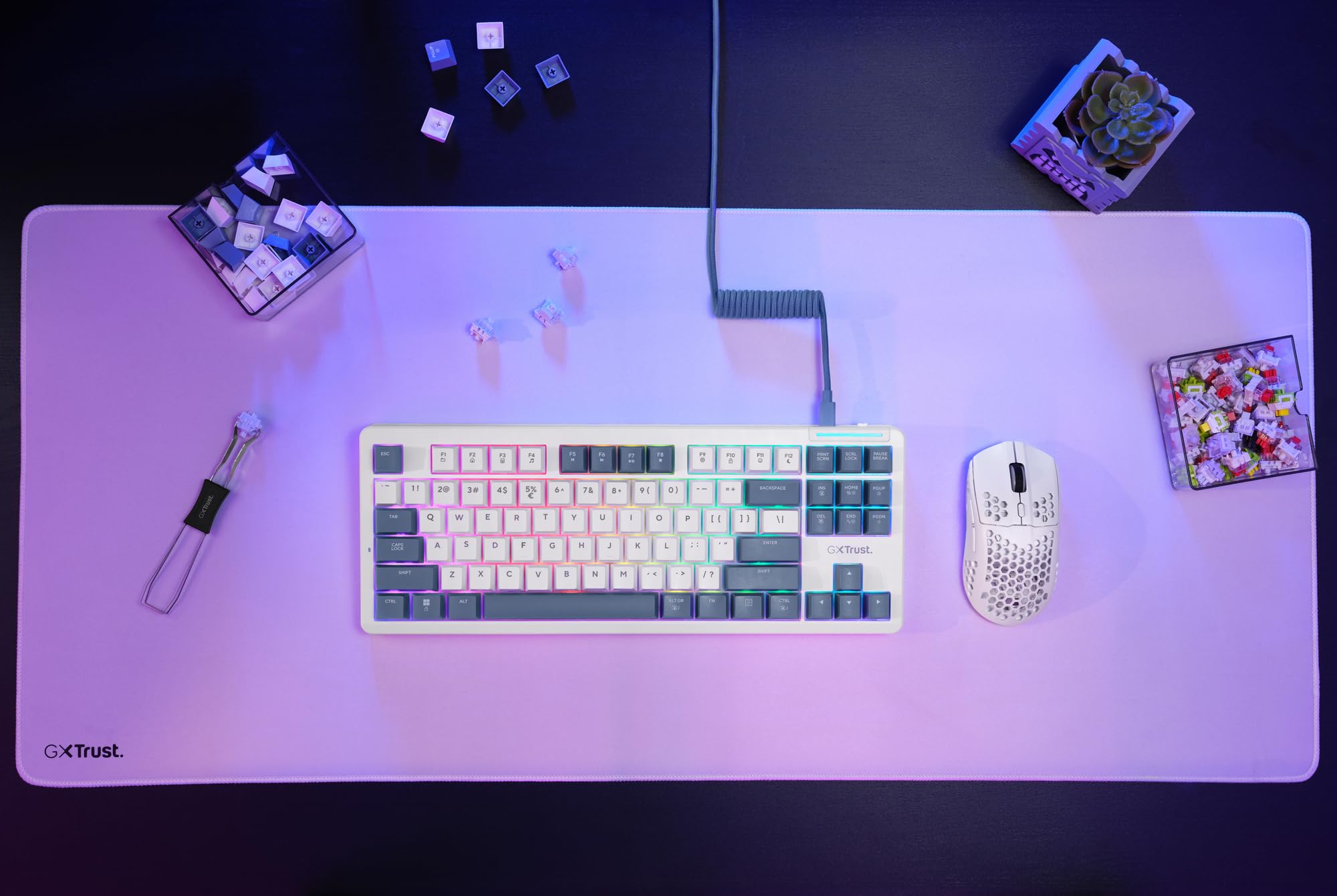 GXTrust 872 Xyra Gasket TKL Mechanische Tastatur QWERTZ Layout, Hot-Swap Creamy Gaming Tastatur 80%, USB Kabel, RGB Beleuchtung Programmierbar, 5-pin Leobog Linear 60M Schaltern für Gamer, Weiß