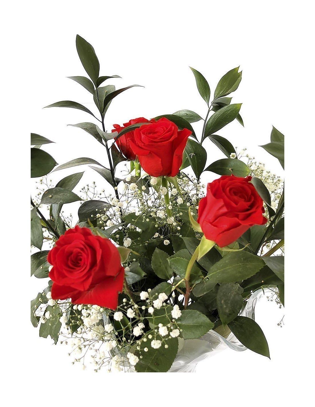JARDIN202 - Ramo de Rosas Rojas Naturales | Flor Natural | Ramo de rosas rojas frescas | 60cm de alto | Ramo de 6 tallos (Estilo tradicional)