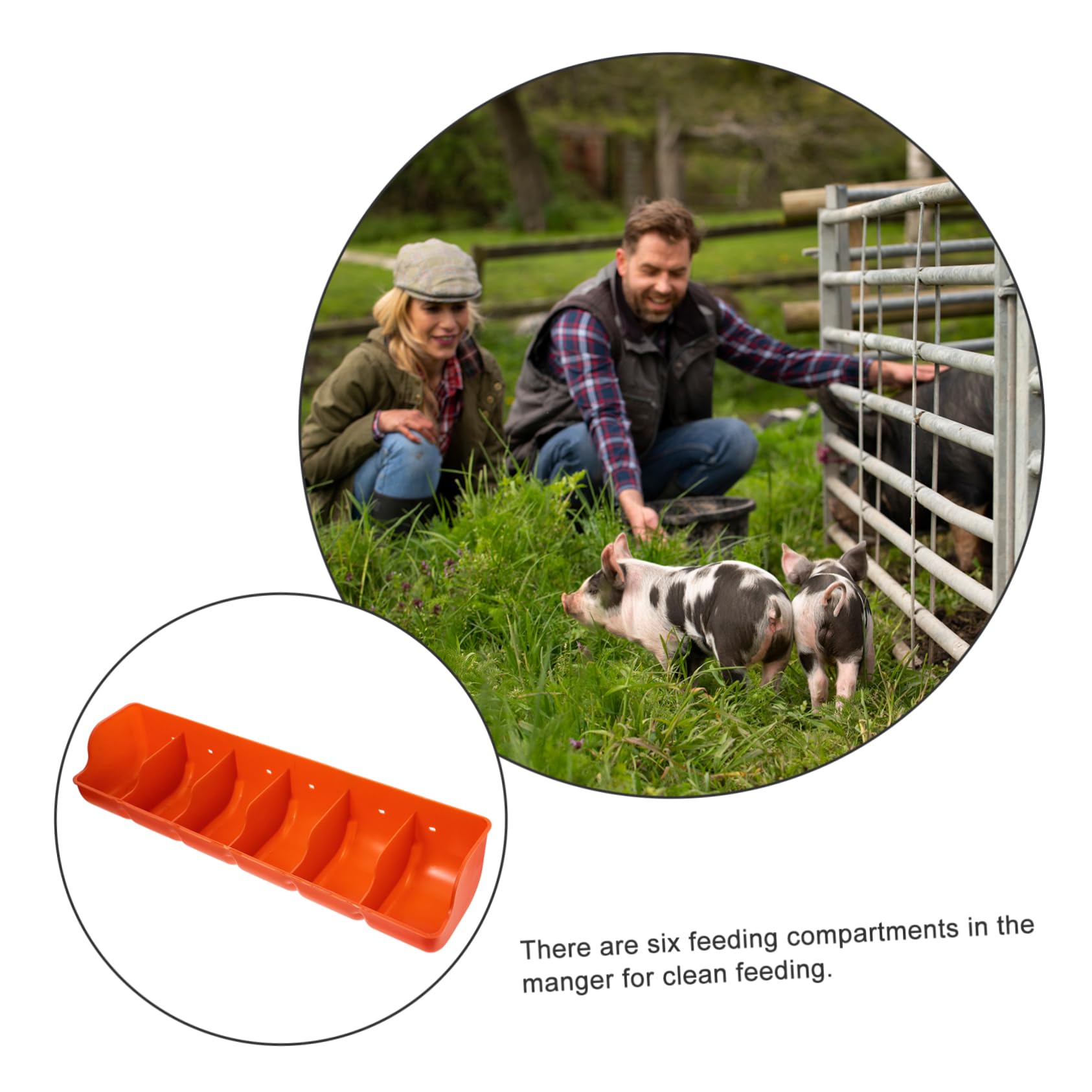 Yardwe Mangiatoia Per Suini in Distributore Di Mangime Multiscomparto Forniture Agricole Per Allevamento e