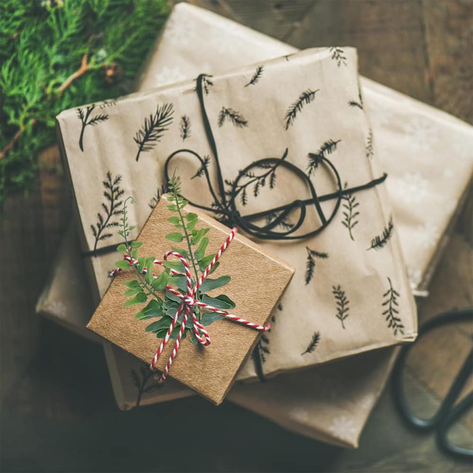 View 6
