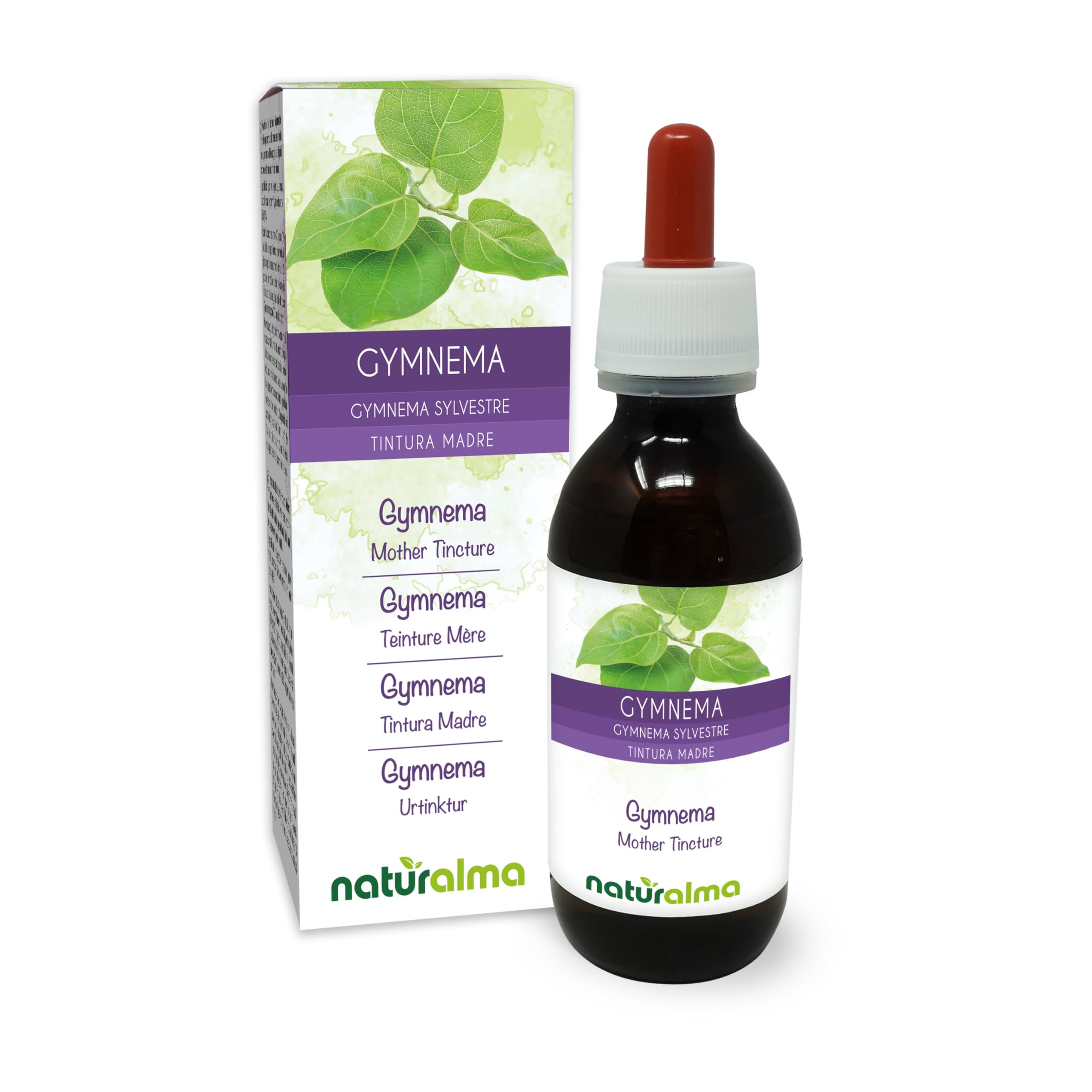Gymnema (Gymnema sylvestre o Marsdenia sylvestris) foglie Tintura Madre analcoolica Naturalma - Estratto liquido gocce 120 ml - Integratore alimentare - Vegano