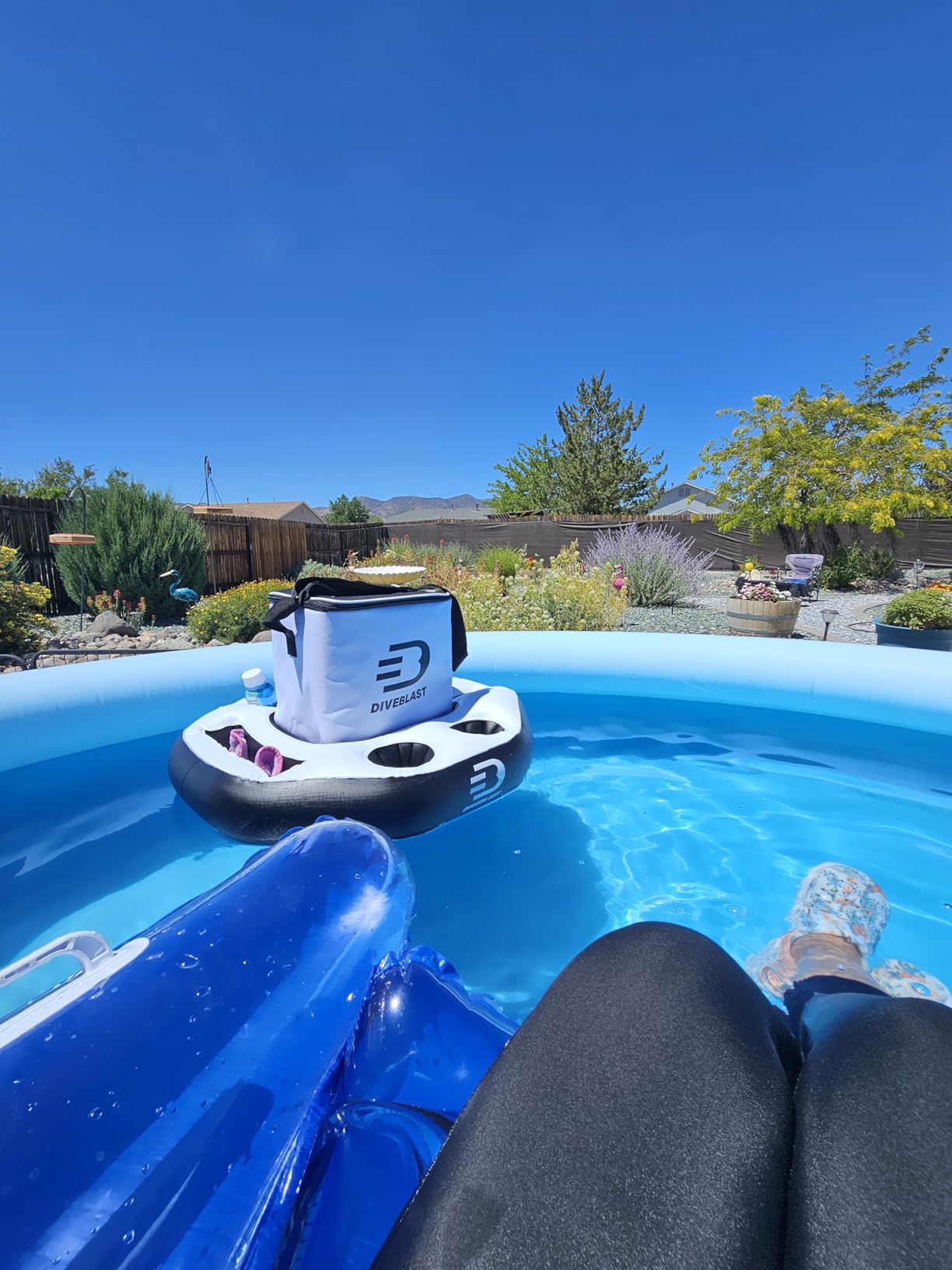 Customer photo of the DIVEBLAST floating cooler in a backyard pool