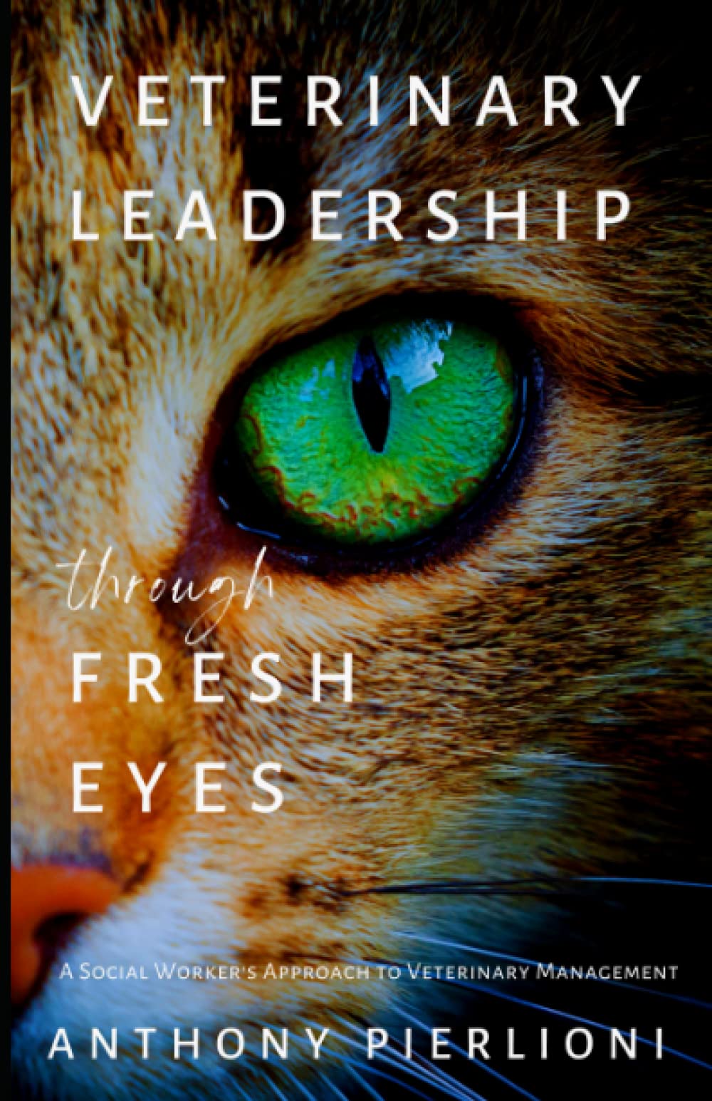 Veterinary Leadership Through Fresh Eyes: A Social Worker's Approach to Veterinary Management