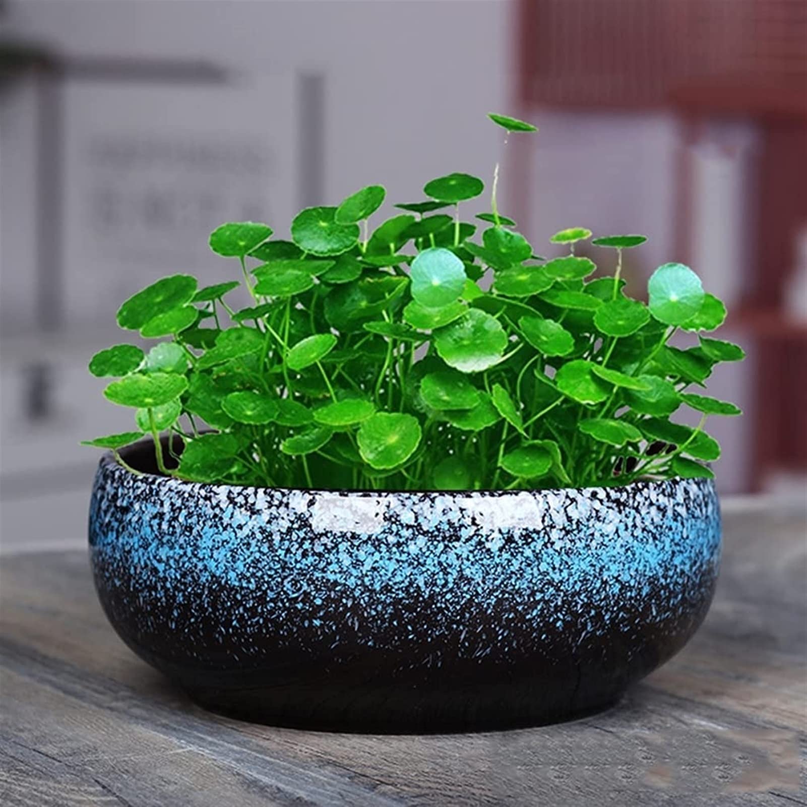 Runde, große, flache, glasierte Pflanztöpfe für den Außenbereich, Sukkulenten-Pflanzschale, Bonsai-Töpfe, Garten, dekorativer Keramik- Blumentopf, nicht porös, geeignet für Hydrokultur-Pflanzenbehälter Garten