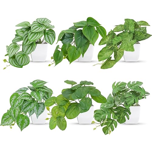 Der Rose 6 Packs Small Fake Plants Desk Accessories Plants for Home Office Living Room Bathroom Bedroom Decor