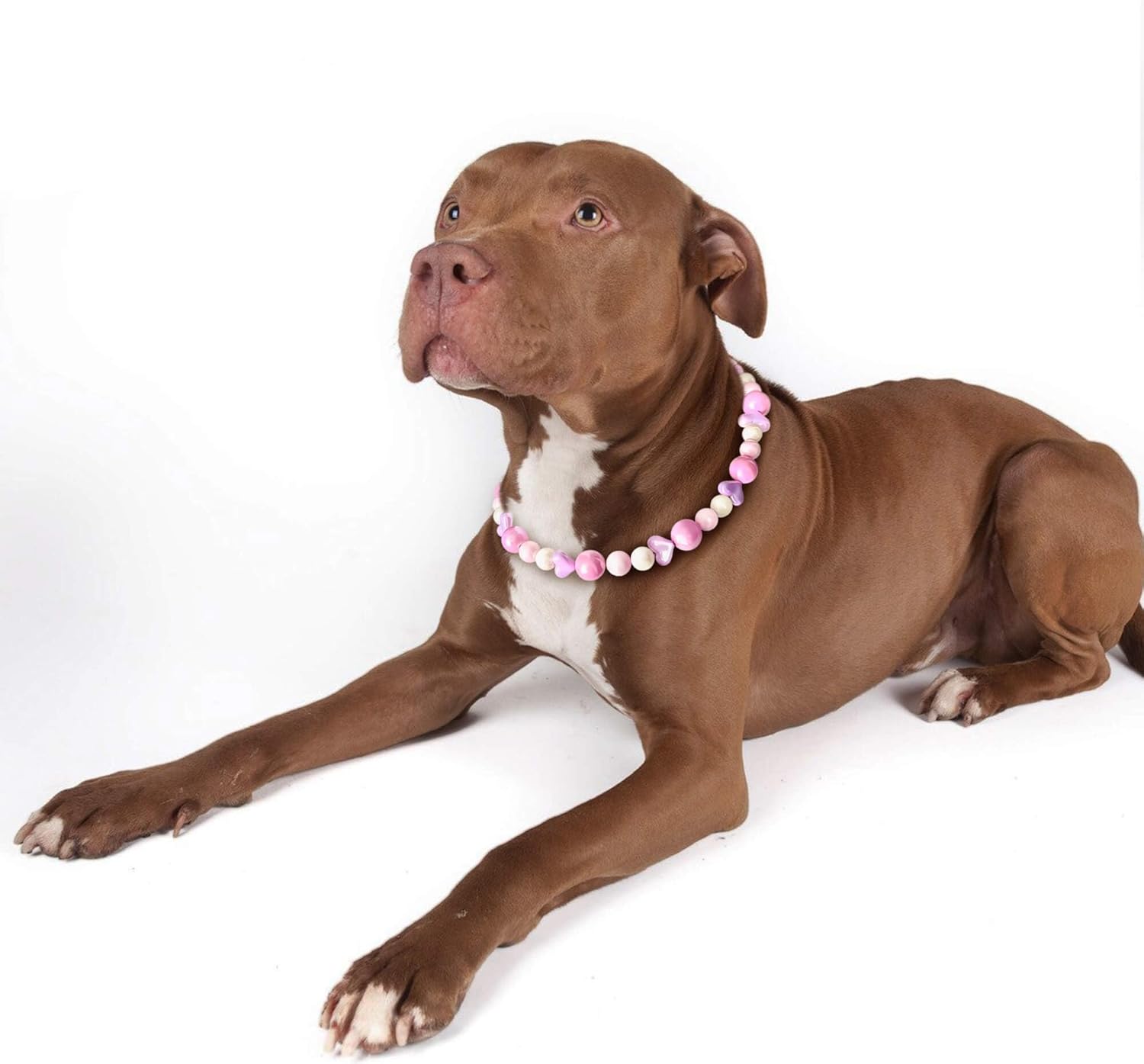 Sweet Pink Dog Necklace – Cute Decorative Jewelry Collar for Stylish Dogs, Perfect for Photos, Gifts & Special Moments