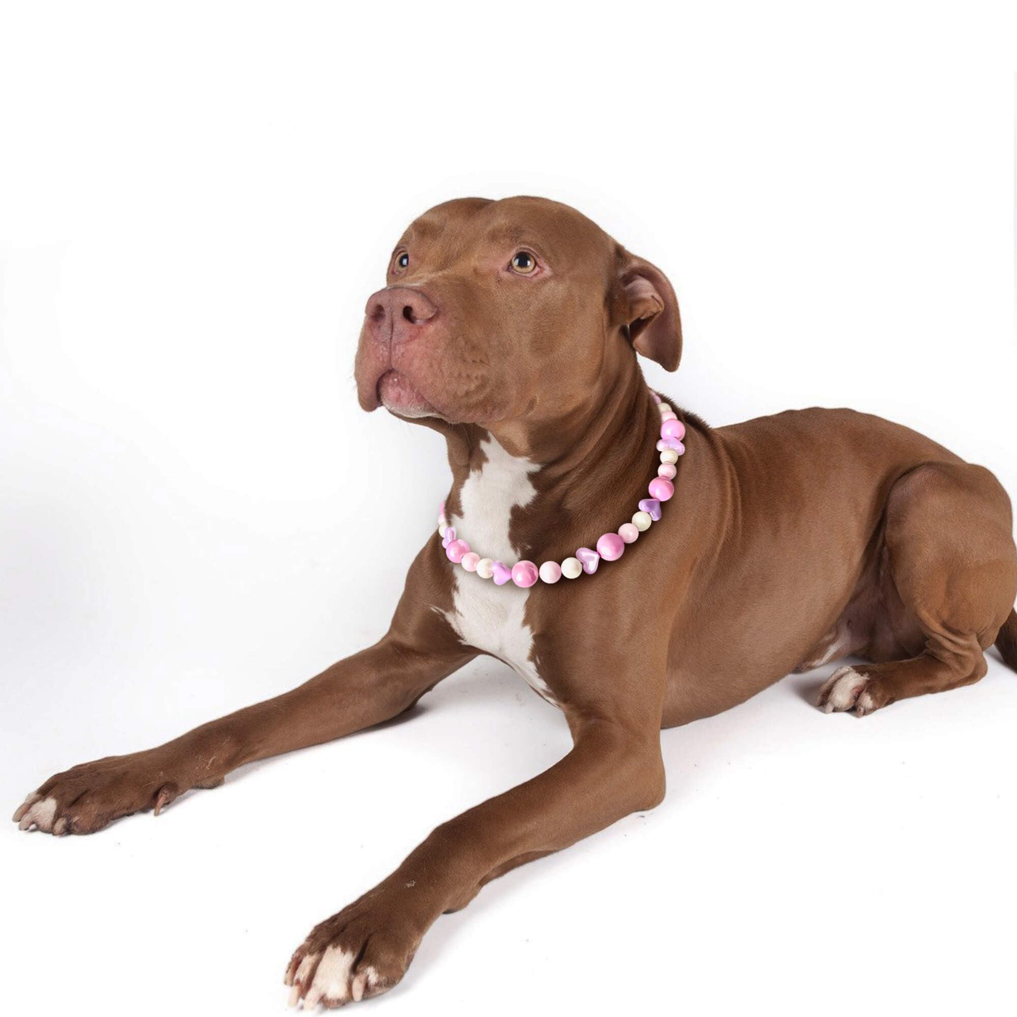 bead collar pitbull pearl collar JOGIA® Pink Princess Beaded Dog Collar – Decorative  Martingale-Style Dog Necklace, Handmade Gift for Stylish Girl Dogs Pet  Supplies