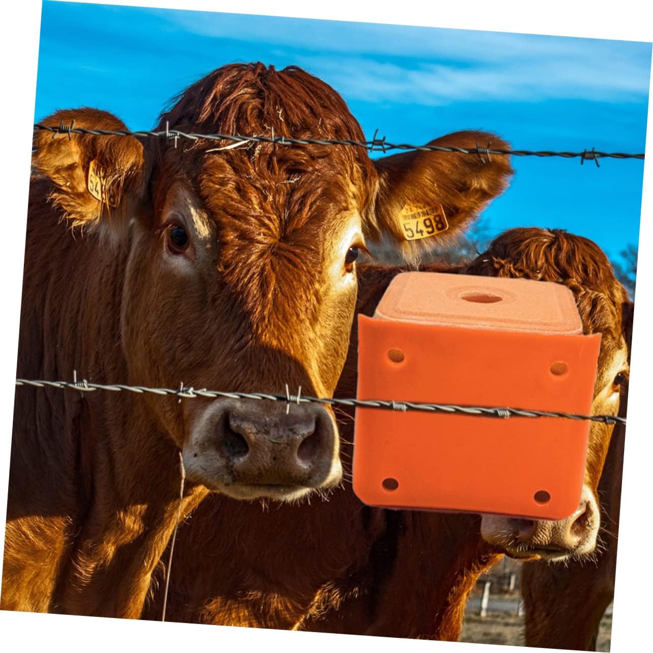 SUPVOX 2pcs Sheep Salt Holder Thickened Cattle Mineral Container Salt Brick Feeder for Livestock Design for Cattle Sheep and Horses Mixed Style Random Style