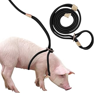Mini-Schweinegeschirr & Leine, verstellbar 2,6 m Lange Leine für kleine bis mittelgroße Hausschweine product image