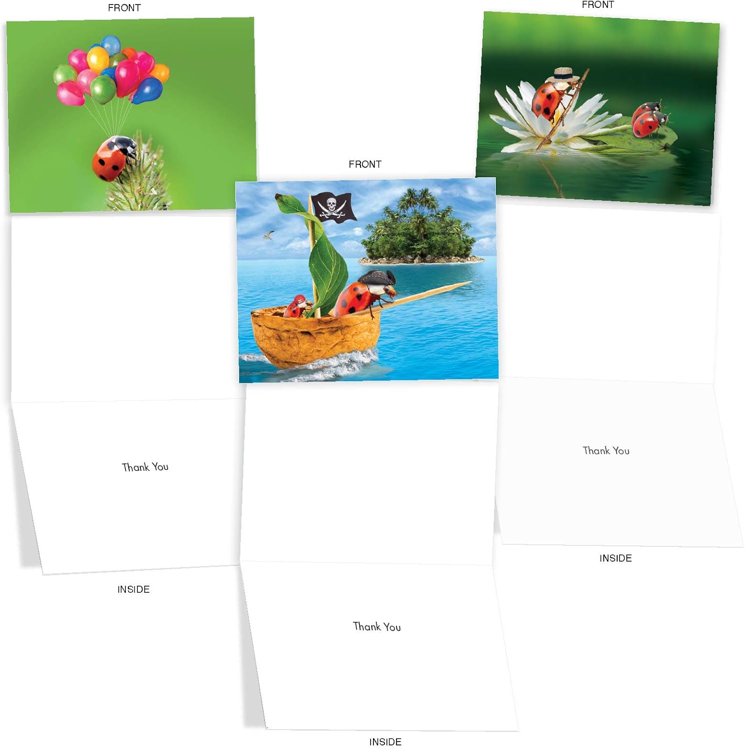 The Best Card Company - 10 Wildlife Thank You Greeting Cards w/Envelopes, Cute Animal Boxed Notes Stationery - Lady B. M1546TY - Image 5