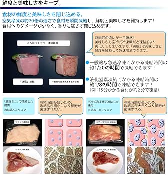 Amazon.co.jp: テクニカン 液体急速凍結機 凍眠 (とうみん)ミニ TM-01
