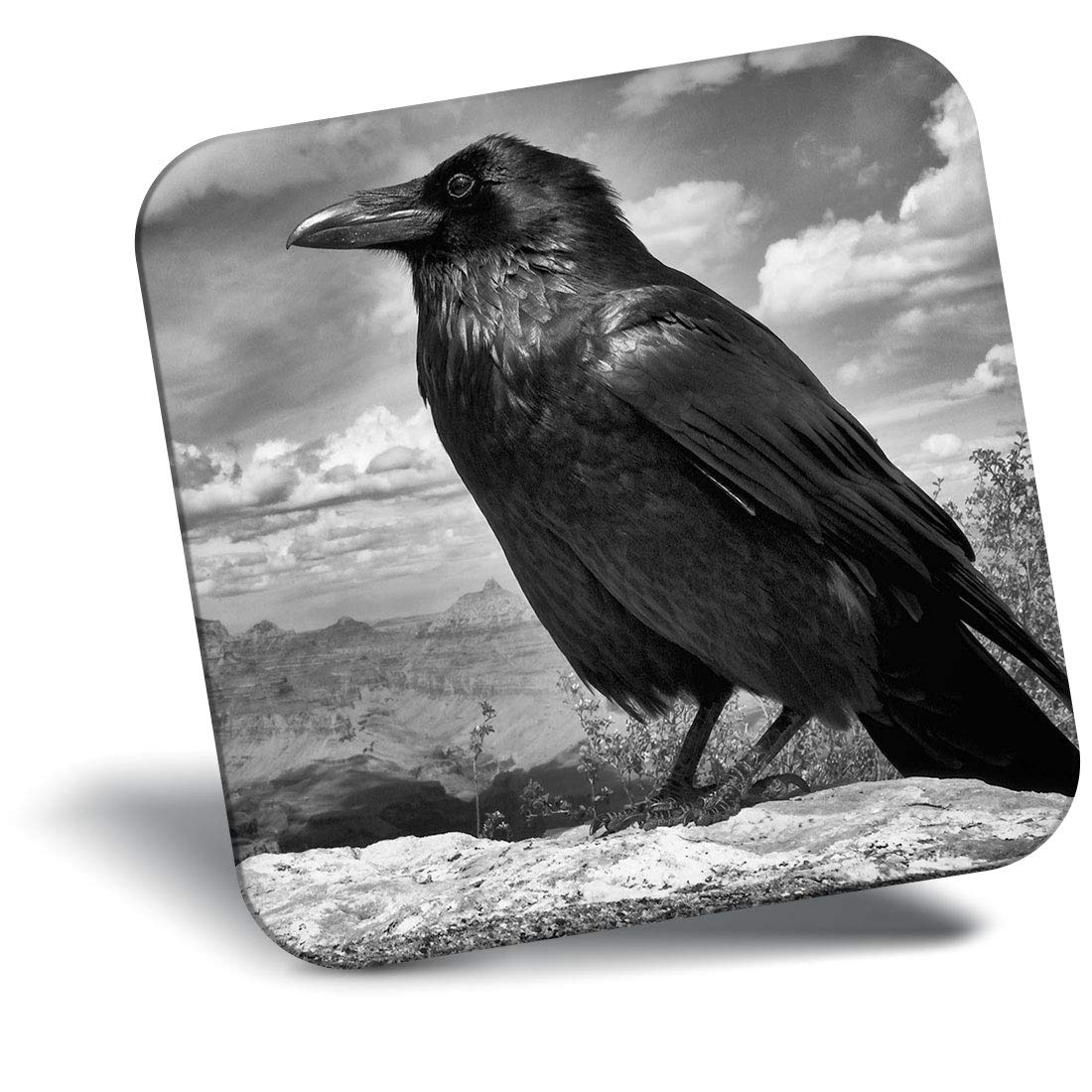 Destination Vinyl Ltd Black Fridge Magnet - Raven Crow Bird Horror 8109