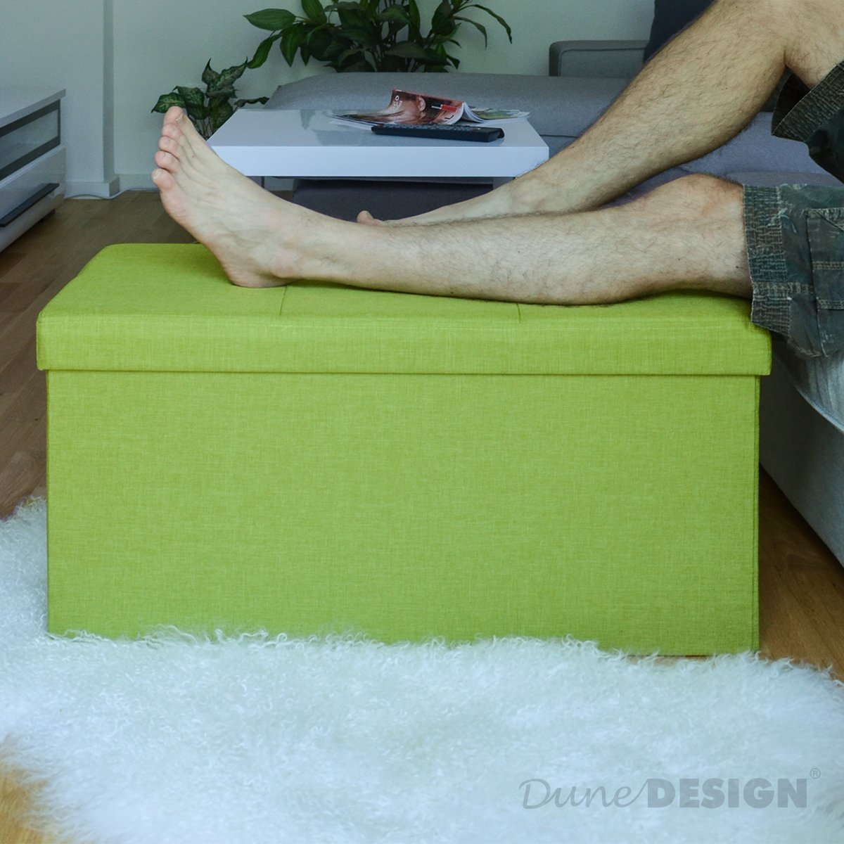 DuneDesign Banc de Rangement 76x38x38cm Coffre Pliant 80L rembourré Vert Clair