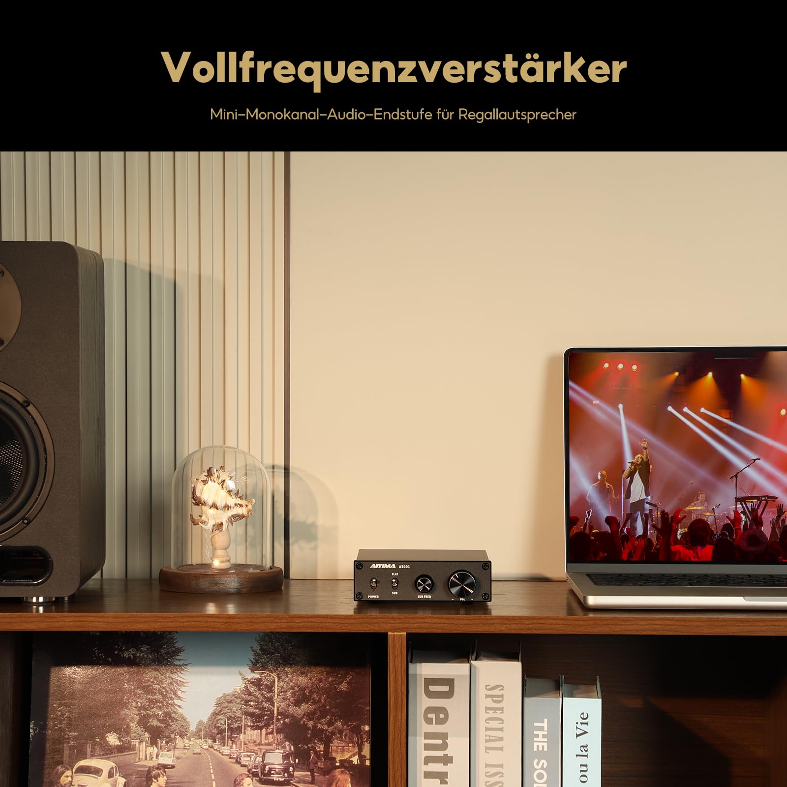 AIYIMA A3001 Mono Subwoofer Verstärker 300W TPA3255 mit Frequenzregelung | Mini-Monoblock-Verstärker FLACHE & SUB-Modi,passive Lautsprecher & aktive Sub-Ausgänge für Heimkino 2.0/2.1/2.2
