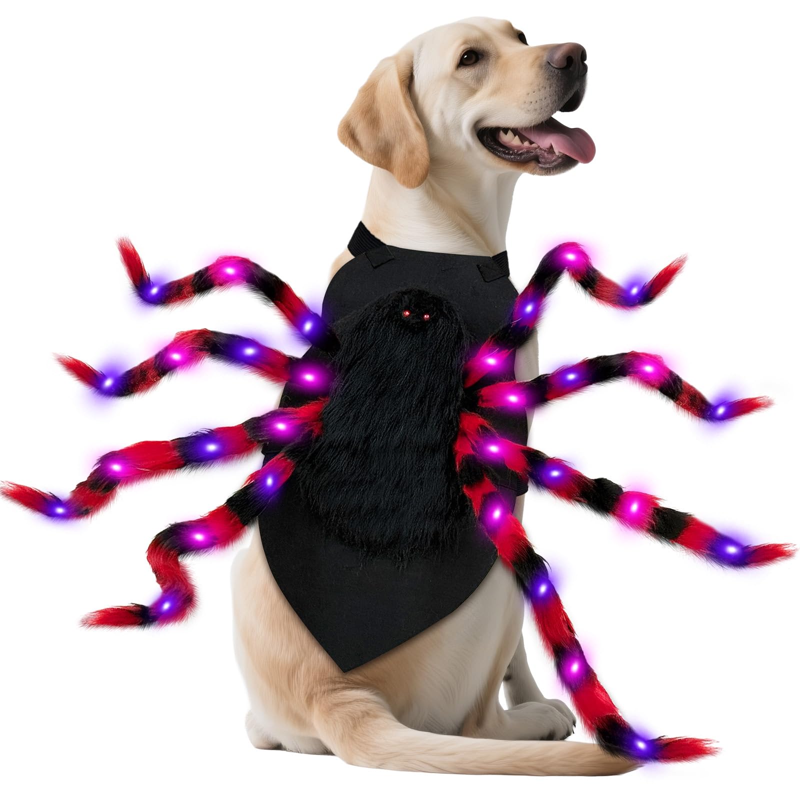 Costume d'araignée pour chien avec 64 DEL rouge Halloween grand format