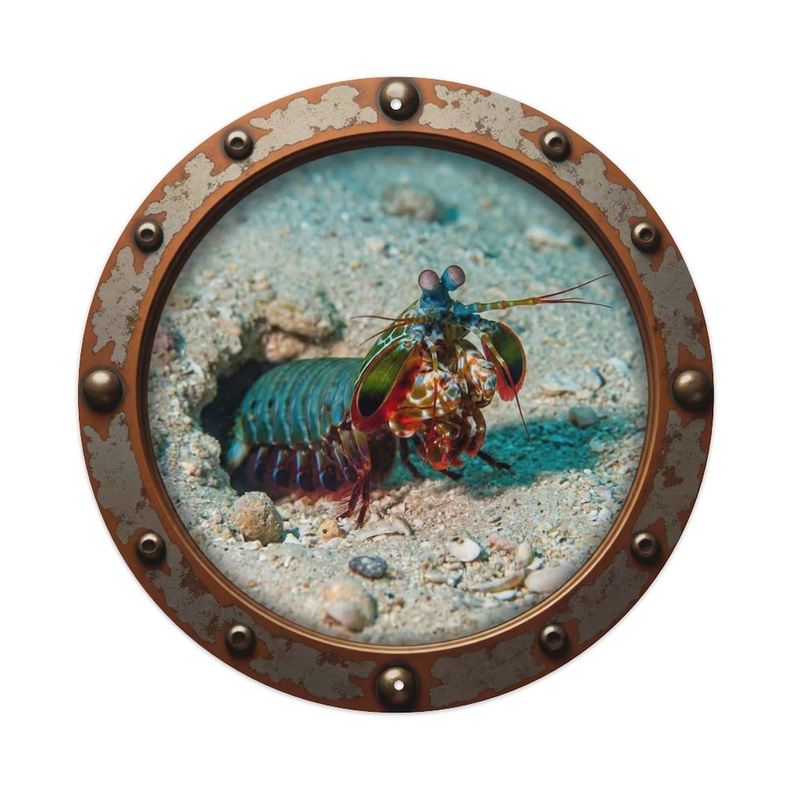 Gead 8X8inch Style Vintage Porthole Mantis Shrimp Nautical Window View Metal Tin Sign
