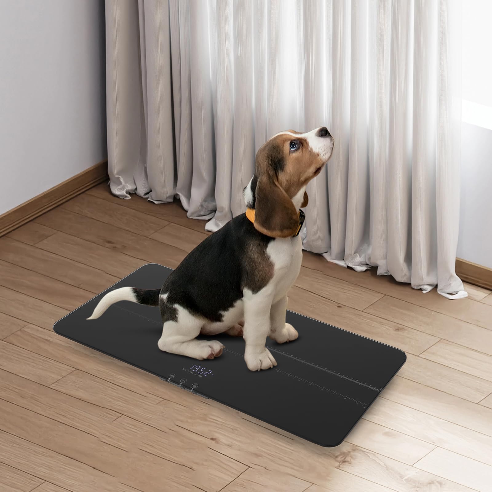 Digitale Hundewaage Haustierwaage Tierwaage für Große Hunde Katzen max. 100kg 10g Genauigkeit LCD-Anzeige 3 Wiegemodi kg lb oz USB-Aufladbar Tara Haltefunktion Breite Plattform (schwarz)