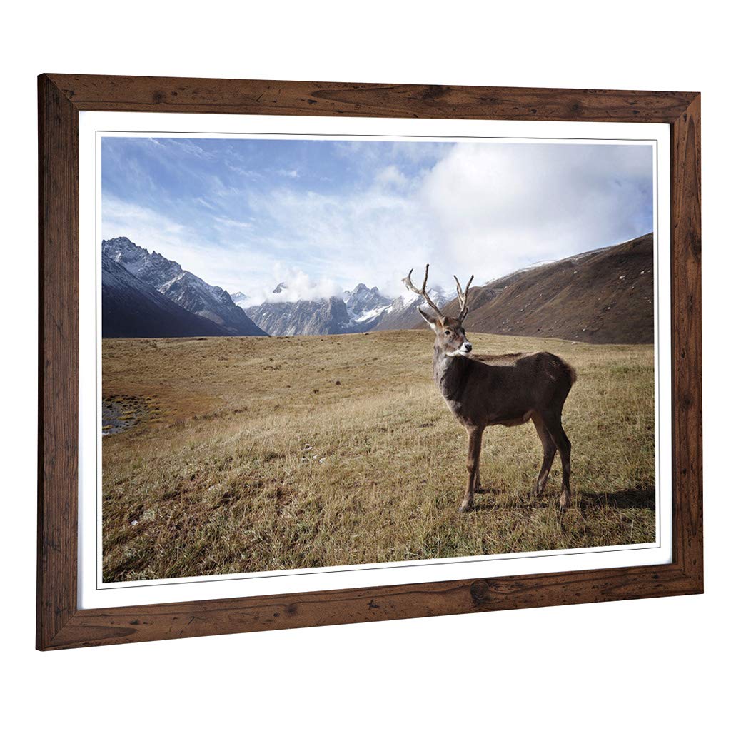 Big Box Art Framed Print of Stag Deer Mountain Landscape Design | Wall Art Picture | Home Decor for Kitchen, Living, Dining Room, Bedroom, Hallway, Office, Walnut, A2 / 24.5x18 Inch / 62x45cm