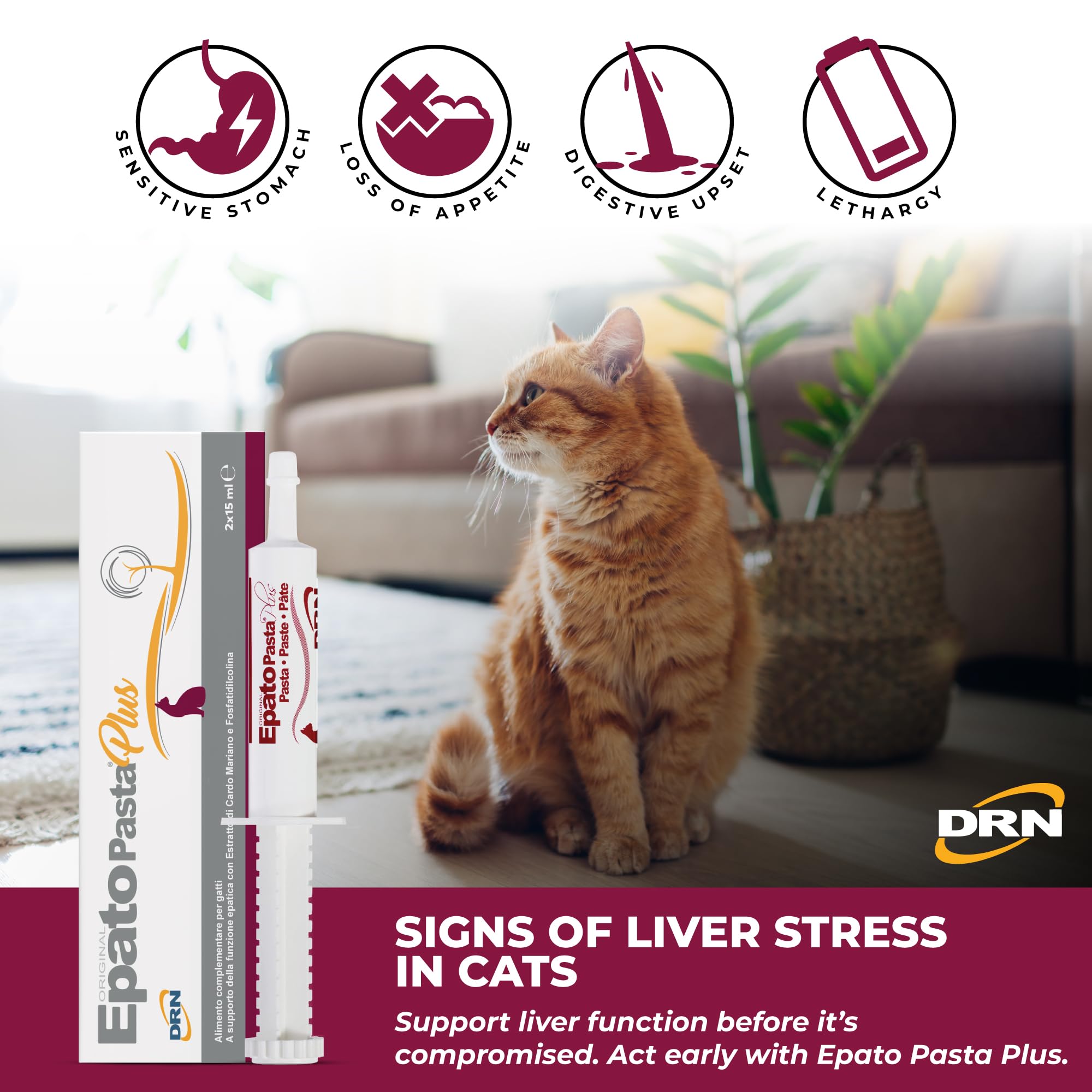 Epato Pasta Plus – Pasta Appetibile per Cani e Gatti – Supporto Quotidiano per la Funzione Epatica e il Comfort Digestivo