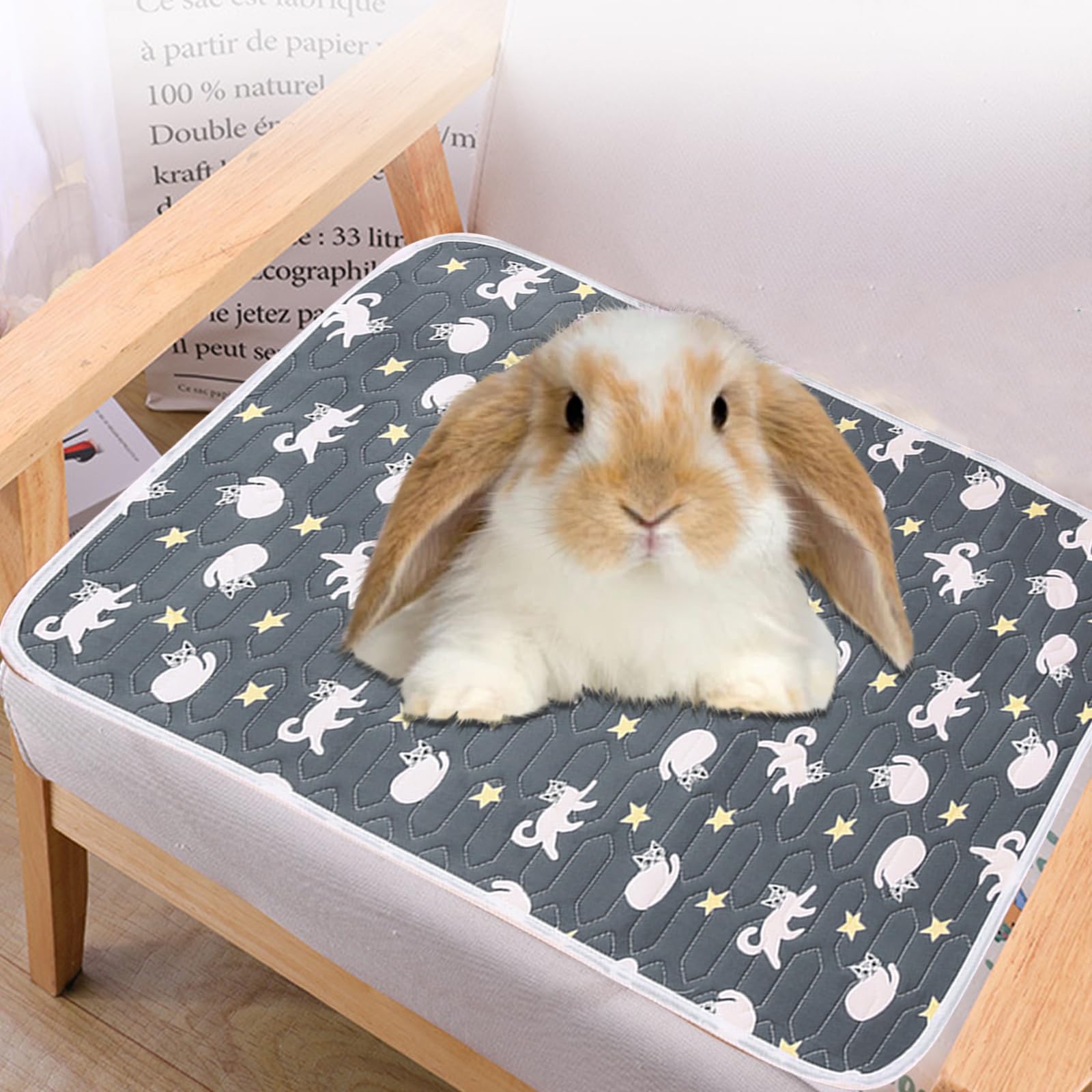 KASESSS 2PCS Small Pet Cooling Mat, 40x30cm Rabbit cooling Mat, Rabbit Cooling Pad Bite Resistance, Soft and Comfortable Cool Mats for Rabbits, Guinea Pig, Hamster, Stay Cool This Summer, Pet Ice Pad - Image 3