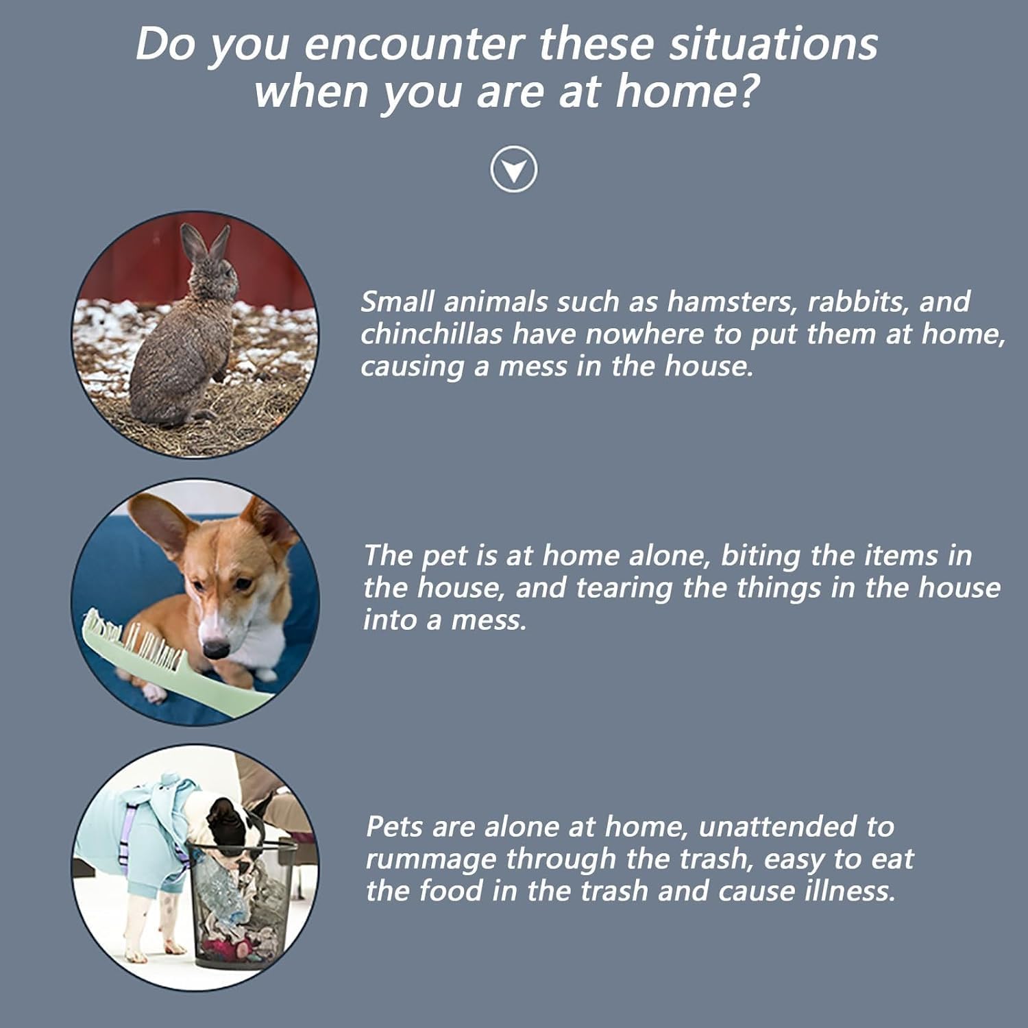 Cat House Cat Playpen DIY Transparent Puppy Dog Playpen Portable Yard Fence,Small Animal Cage for Rabbit,Guinea Pigs for Cat and Small Animals,8pcs